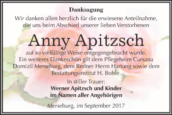 Traueranzeige von Anny Apitzsch von Super Sonntag Merseburg