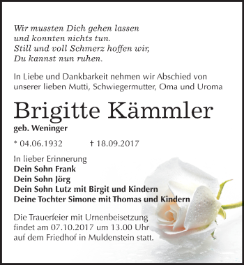 Traueranzeige von Brigitte Kämmler von Mitteldeutsche Zeitung Bitterfeld