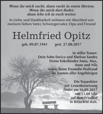 Traueranzeige von Helmfried Opitz von WVG - Wochenspiegel Bitterfeld