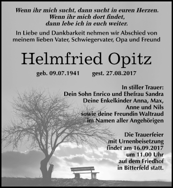 Traueranzeige von Helmfried Opitz von Mitteldeutsche Zeitung Bitterfeld