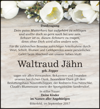 Traueranzeige von Waltraud Jähn von Mitteldeutsche Zeitung Bitterfeld