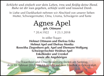 Traueranzeige von Agnes Apel von WVG - Wochenspiegel Dessau / Köthen