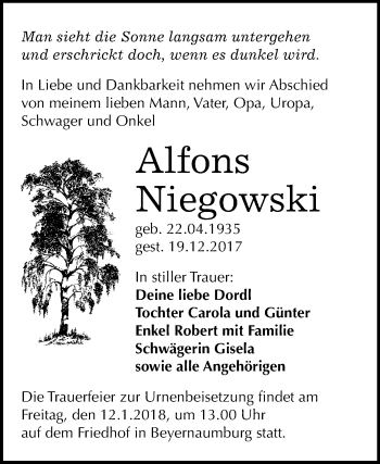 Traueranzeige von Alfons Niegowski von Mitteldeutsche Zeitung