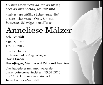 Traueranzeige von Anneliese Mälzer von Mitteldeutsche Zeitung Halle/Saalkreis
