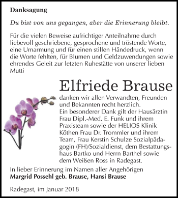 Traueranzeige von Elfriede Brause von WVG - Wochenspiegel Dessau / Köthen