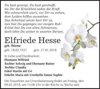 Traueranzeige von Elfriede Hesse von Mitteldeutsche Zeitung Halle/Saalkreis