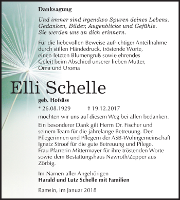 Traueranzeige von Elli Schelle von Mitteldeutsche Zeitung Bitterfeld