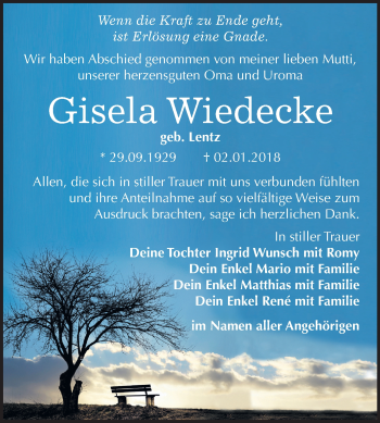 Traueranzeige von Gisela Wiedecke von Mitteldeutsche Zeitung Bitterfeld