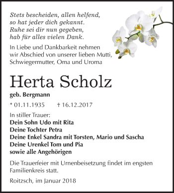 Traueranzeige von Herta Scholz von Mitteldeutsche Zeitung Bitterfeld