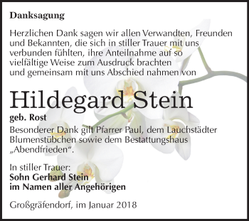 Traueranzeige von Hildegard Stein von Mitteldeutsche Zeitung