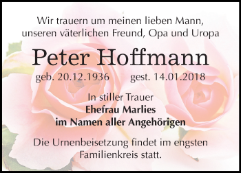 Traueranzeige von Peter Hoffmann von Mitteldeutsche Zeitung Bitterfeld