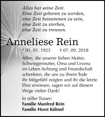 Traueranzeige von Anneliese Rein von Mitteldeutsche Zeitung
