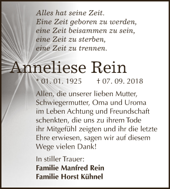 Traueranzeige von Anneliese Rein von Wochenspiegel Mansfelder Land