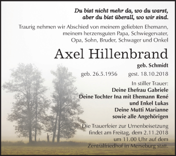 Traueranzeige von Axel Hillenbrand von Mitteldeutsche Zeitung