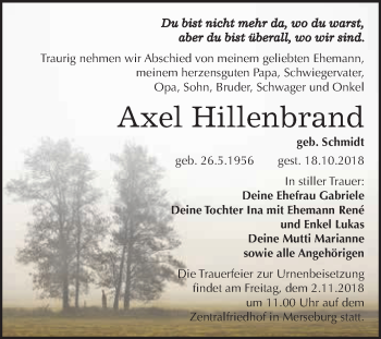 Traueranzeige von Axel Hillenbrand von WVG - Wochenspiegel Merseburg