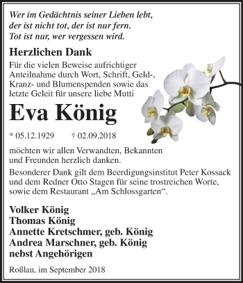 Traueranzeige von Eva König von Mitteldeutsche Zeitung Dessau-Roßlau