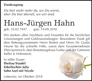 Traueranzeige von Hans-Jürgen Hahn von Mitteldeutsche Zeitung Halle/Saalkreis