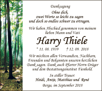 Traueranzeige von Harry Thiele von Super Sonntag SGH Mansf. Land