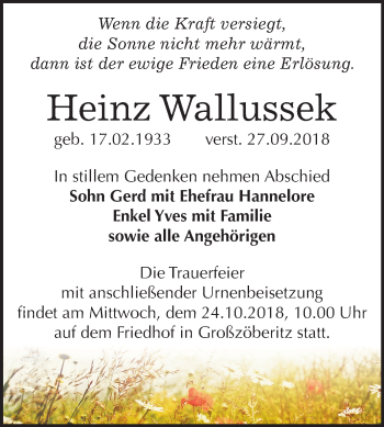 Traueranzeige von Heinz Wallussek von Mitteldeutsche Zeitung Bitterfeld