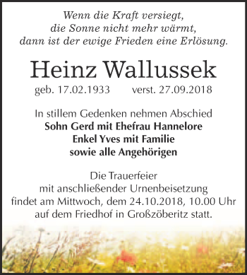 Traueranzeige von Heinz Wallussek von WVG - Wochenspiegel Bitterfeld