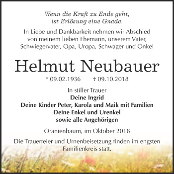 Traueranzeige von Helmut Neubauer von WVG - Wochenspiegel Wittenberg