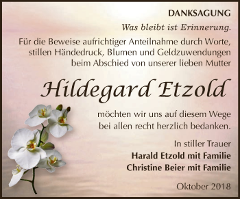 Traueranzeige von Hildegard Etzold von Super Sonntag Zeitz