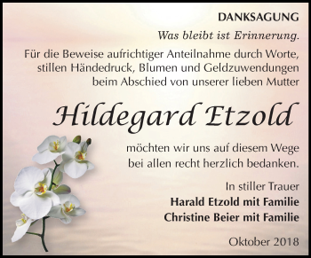Traueranzeige von Hildegard Etzold von Mitteldeutsche Zeitung Zeitz