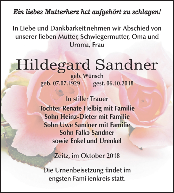 Traueranzeige von Hildegard Sandner von Mitteldeutsche Zeitung Zeitz