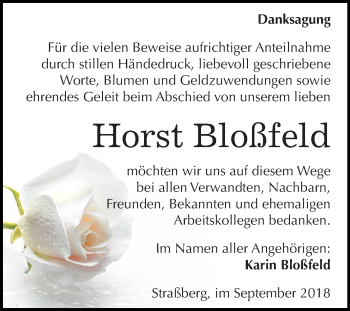 Traueranzeige von Horst Bloßfeld von Mitteldeutsche Zeitung