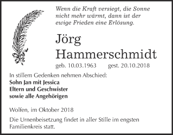 Traueranzeige von Jörg Hammerschmidt von WVG - Wochenspiegel Bitterfeld