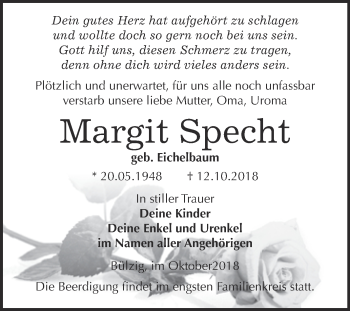 Traueranzeige von Margit Specht von Super Sonntag Wittenberg