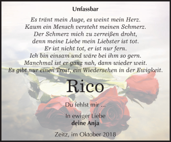 Traueranzeige von Rico   von Mitteldeutsche Zeitung Zeitz