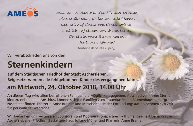  Traueranzeige für Sternenkinder  vom 17.10.2018 aus Super Sonntag Aschersleben