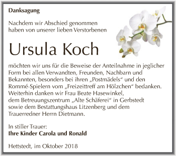 Traueranzeige von Ursula Koch von Super Sonntag SGH Mansf. Land