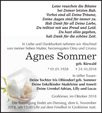 Traueranzeige von Agnes Sommer von Super Sonntag SGH Mansf. Land