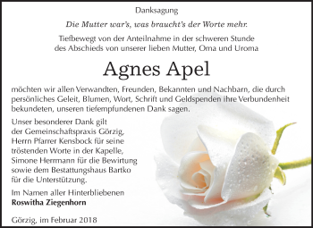 Traueranzeige von Agnes Apel von Mitteldeutsche Zeitung Köthen