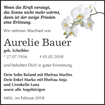 Traueranzeige von Aurehe Bauer von Mitteldeutsche Zeitung Köthen