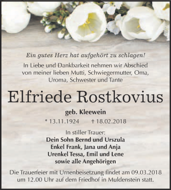 Traueranzeige von Elfriede Rostkovius von WVG - Wochenspiegel Bitterfeld