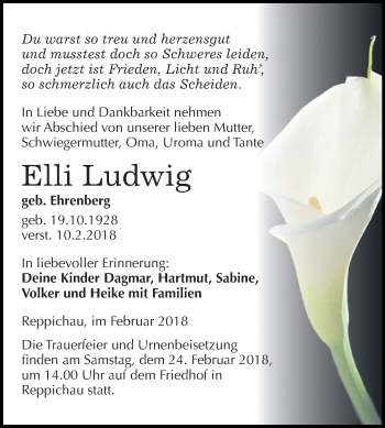 Traueranzeige von Elli Ludwig von WVG - Wochenspiegel Dessau / Köthen