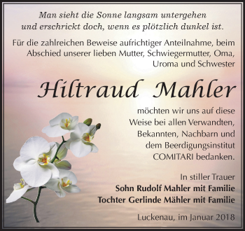 Traueranzeige von Hiltraud Mahler von Mitteldeutsche Zeitung Zeitz
