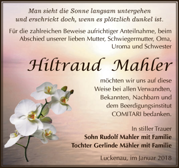Traueranzeige von Hiltraud Mahler von Super Sonntag Zeitz