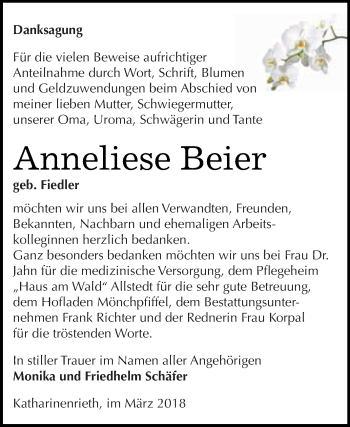 Traueranzeige von Anneliese Beier von Super Sonntag SGH Mansf. Land