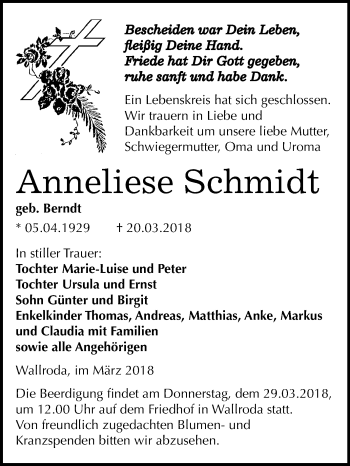 Traueranzeige von Anneliese Schmidt von Mitteldeutsche Zeitung