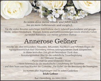 Traueranzeige von Annerose Geßner von Super Sonntag Merseburg