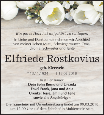 Traueranzeige von Elfriede Rostkovius von Mitteldeutsche Zeitung Bitterfeld