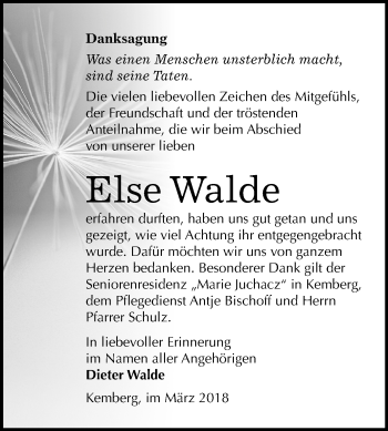 Traueranzeige von Else Walde von Mitteldeutsche Zeitung