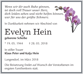 Traueranzeige von Evelyn Hein von Mitteldeutsche Zeitung Weißenfels