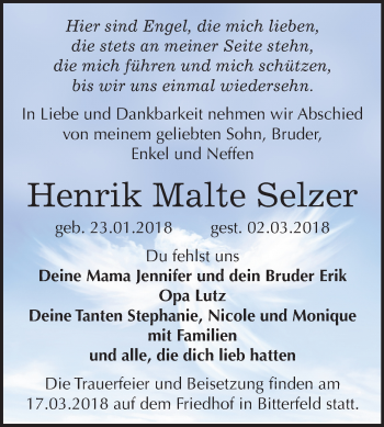 Traueranzeige von Henrik Malte Selzer von Mitteldeutsche Zeitung Bitterfeld