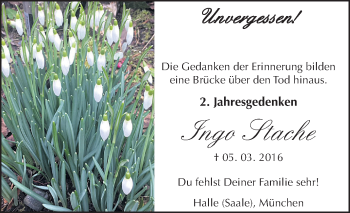 Traueranzeige von Ingo Stache von Mitteldeutsche Zeitung Halle/Saalkreis