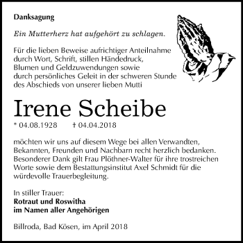 Traueranzeige von Irene Scheibe von Mitteldeutsche Zeitung